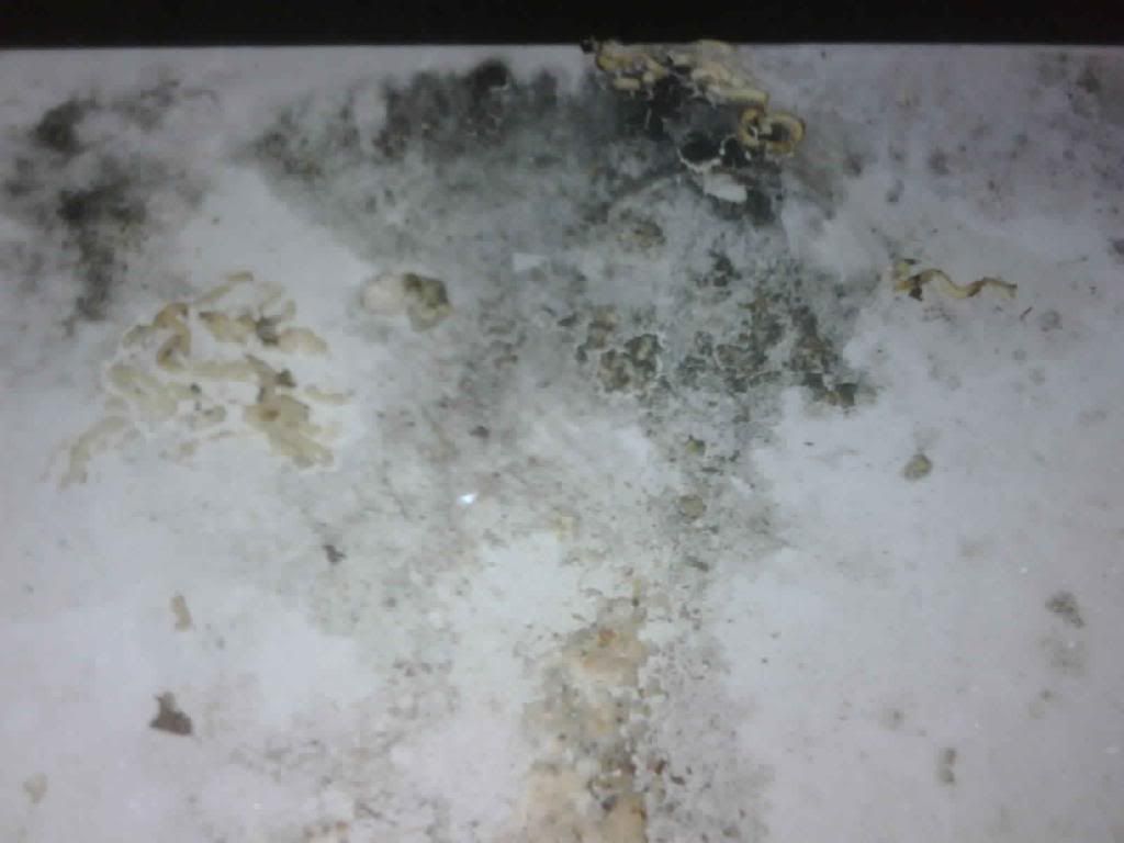 Stomach Acid March 2015